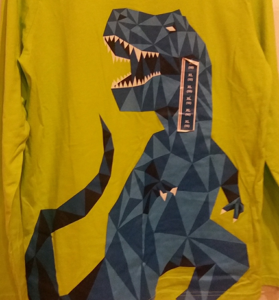 BOGO FREE! NWOT Boy's T-Rex Long Sleeve Shirt